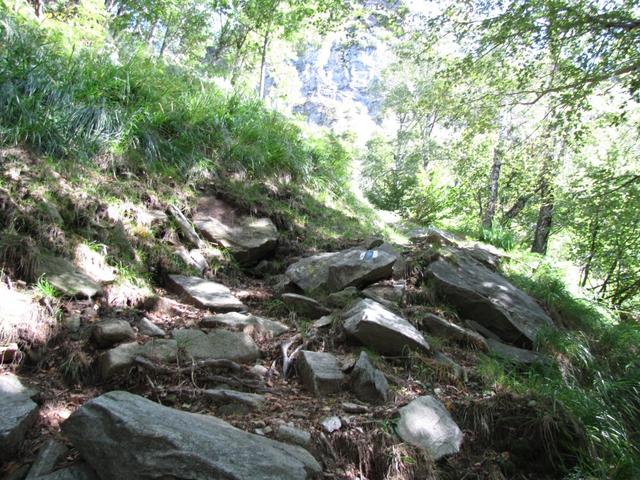 zum Glück verläuft der Bergweg meistens durch dichtes schattenspendendes Unterholz.