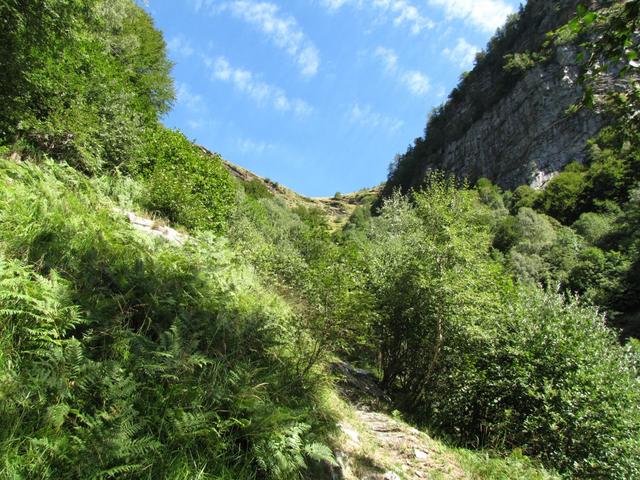 der Sattel bei der Alpe Eus erscheint im Blickfeld