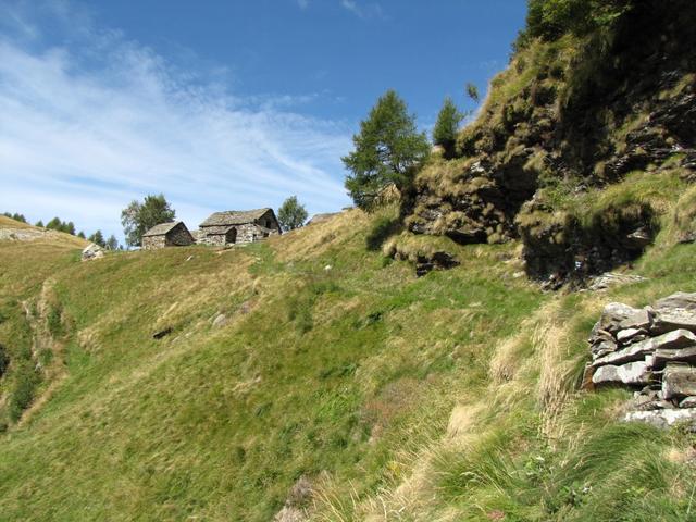 noch ein paar Meter und wir haben den Sattel auf der Alpe Eus erreicht