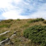 wir haben den grasigen flachen Gipfel vom Pizzo d'Eus 1730 m.ü.M. erreicht. Was für eine Aussicht!