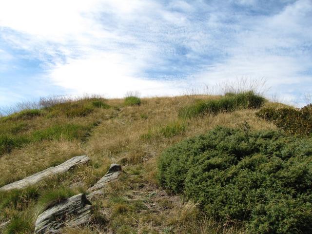 wir haben den grasigen flachen Gipfel vom Pizzo d'Eus 1730 m.ü.M. erreicht. Was für eine Aussicht!