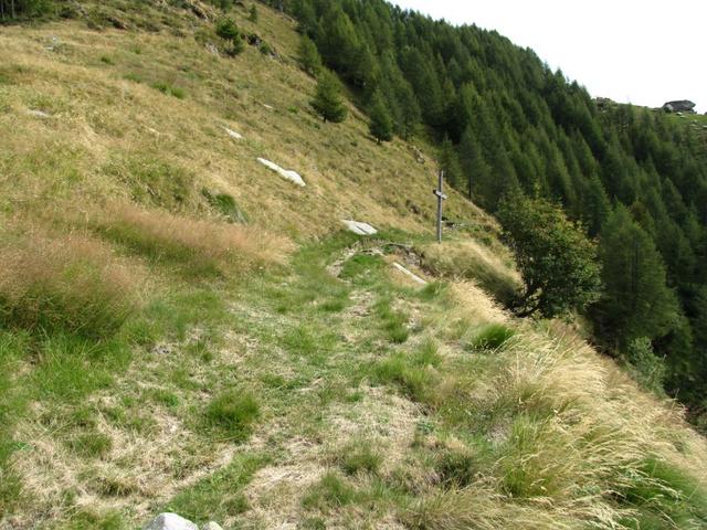 wir haben die Alpe Eus verlassen und wandern nun Richtung Arossa