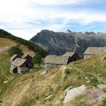 Blick zurück zur Alpe Eus