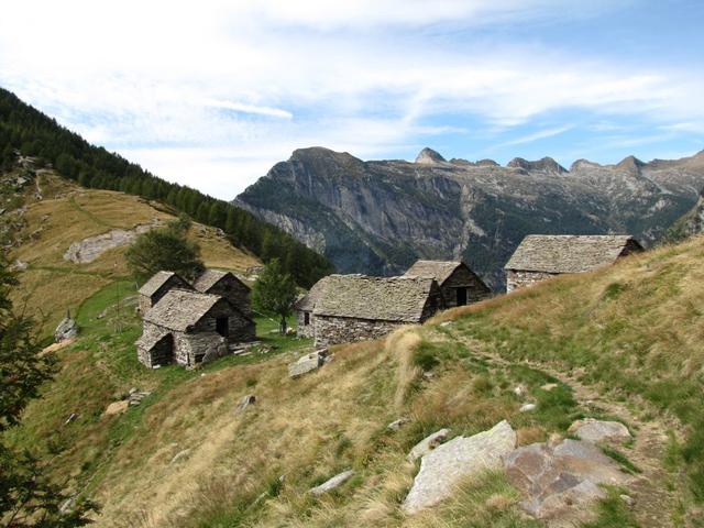 Blick zurück zur Alpe Eus