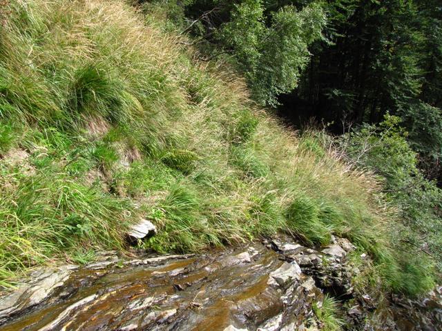 danach ist der Weg meistens nicht mehr ersichtlich