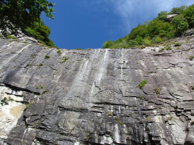 senkrechte Felswände über unsere Köpfe