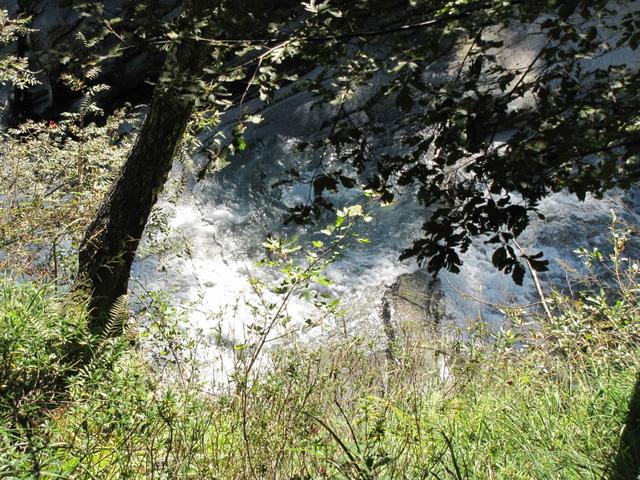 auf der orographisch rechten Seite vom Bach wandern wir nun talauswärts