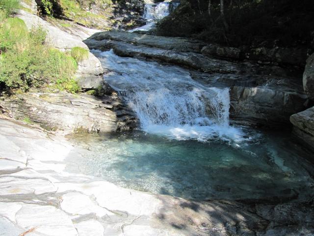 das kristallklare Wasser vom Bach