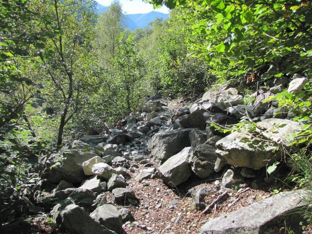 weiter geht unsere Wanderung Richtung Punkt 674 m.ü.M.