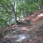 steil wie fast immer im Tessin führt der Wanderweg aufwärts