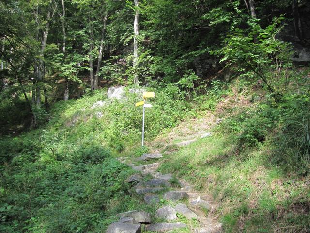 Wegweiser im Wald bei Tabid