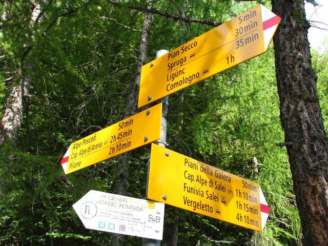 kurz nach Pian Secco diese Weggabelung. Wir gehen links Richtung Pilone. Werden von rechts dann runterkommen