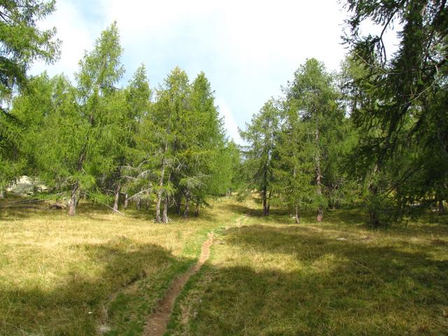 kurz vor der Alpe Pesced