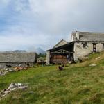 bei den Alpgebäuden auf der Alpe Pesced