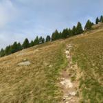 auf der Westseite des Munzelüm geht es auf einfachem Wanderweg weiter aufwärts