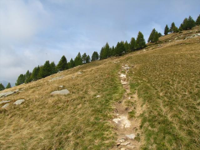 auf der Westseite des Munzelüm geht es auf einfachem Wanderweg weiter aufwärts