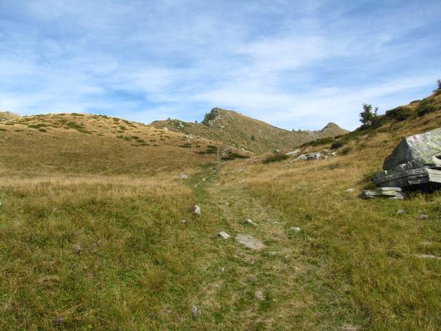 auf der grossen flachen Weidefläche kurz vor dem Passo del Bùsan