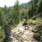 wir haben den Laghetto dei Saléi verlassen und laufen nun auf einfachem Wanderweg zur Capanna Alpe Saléi