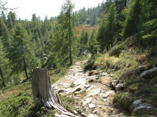 wir haben den Laghetto dei Saléi verlassen und laufen nun auf einfachem Wanderweg zur Capanna Alpe Saléi