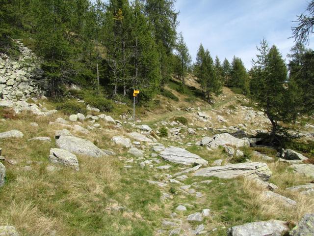 Weggabelung bei Punkt 1808 m.ü.M.