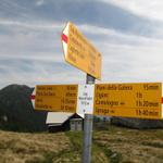 Wegweiser bei der Capanna Alpe Saléi 1772 m.ü.M.