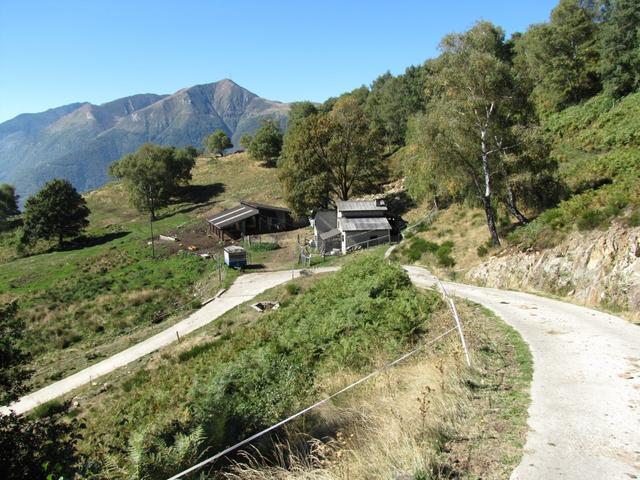 die Alphütte bei Sopra Canaa. Auf gleichem Weg wie der Aufstieg geht es nun abwärts nach Canedo