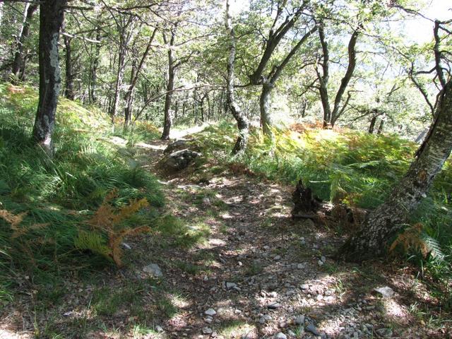 auch bei dieser Wanderung haben wir keine Wanderer gesehen