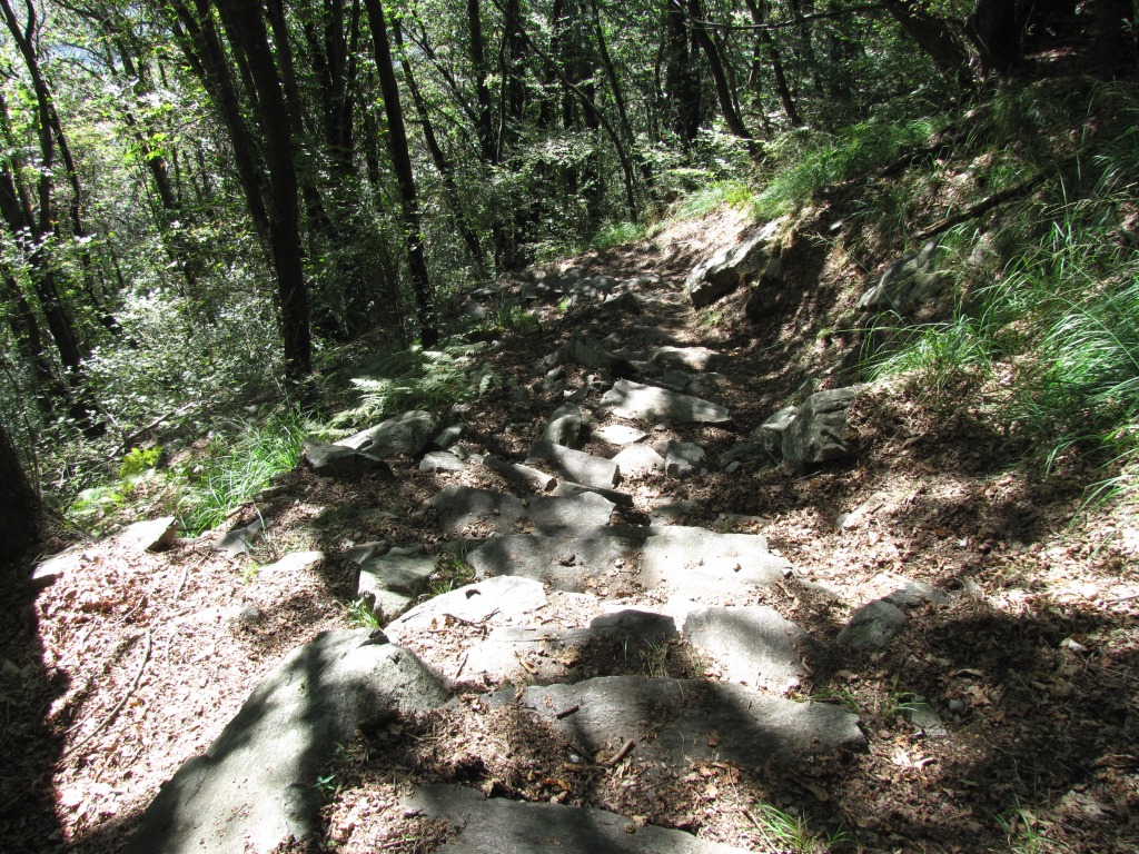 die letzten Steinstufen kurz vor Canedo. Eine schöne aussichtsreiche Wanderung geht zu Ende