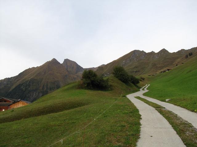 über eine Alpstrasse geht es Richtung Brennli