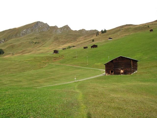 bei Brennli stossen wir wieder auf die Alpstrasse