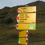 Wegweiser bei "Bir undera Hütta" 1783 m.ü.M.