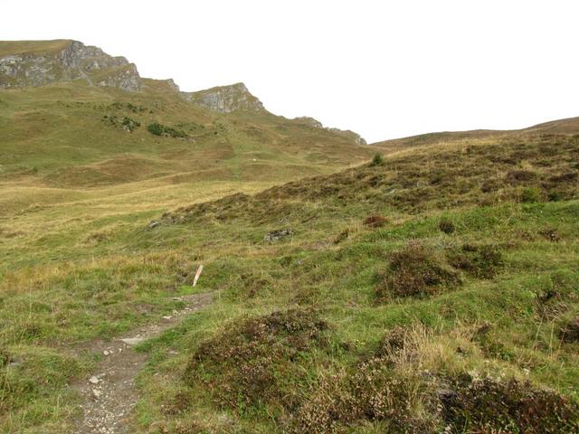 über Alpweiden führt der Wanderweg aufwärts Richtung "Bir obera Hütta"