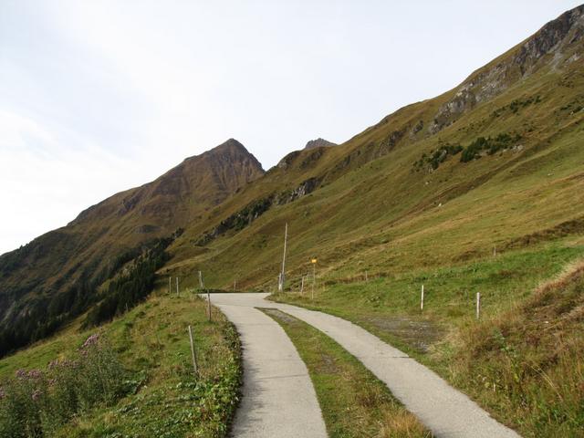 bei Wegweiser auf  "Bir obera Hütta" bogen wir links ab und liefen auf der Alpstrasse bis zur scharfen Rechtskurve