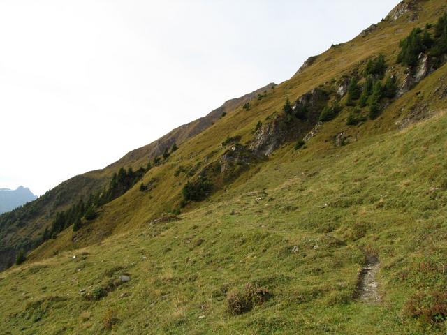 wir verlassen nun die Alpstrasse und biegen in den Wanderweg ein der uns auf den Piz Fess bringen wird