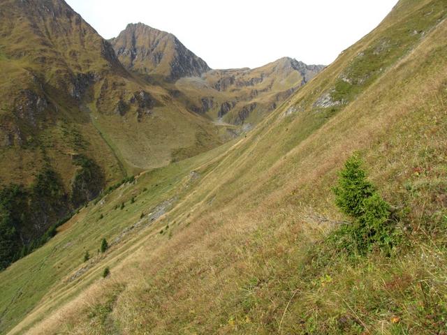 wir durchqueren nun den steilen Hang der Nolla, und wanderen Richtung Tällihütte