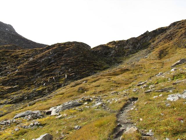 zwischen dem Oberhorn und den Piz Riein geht es weiter aufwärts