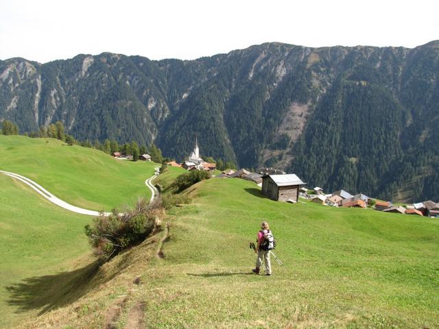 über Alpweiden geht es direkt abwärts nach Tenna. Eine schöne Bergtour geht zu Ende