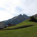Blick zurück zum Oberhorn und den Piz Fess