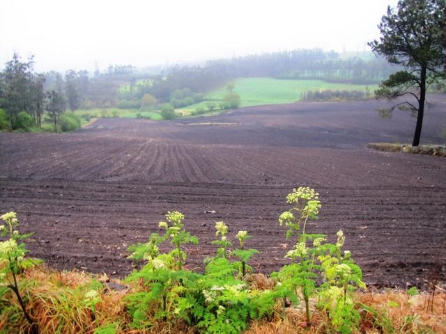 die ansonsten sehr schöne Gegend ist im Nebel eingehüllt und es regnet wie aus Kübeln