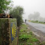 es sind nur ganz wenige Pilger unterwegs. Kein Vergleich vom camino vor Santiago