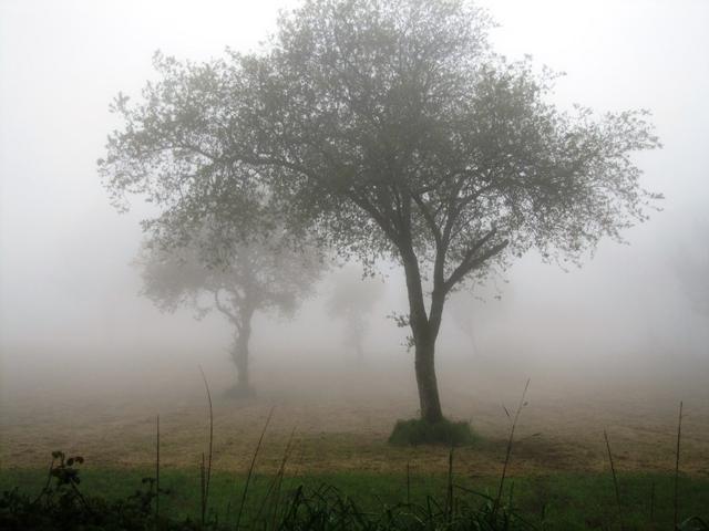 dicker Nebel umhüllt uns