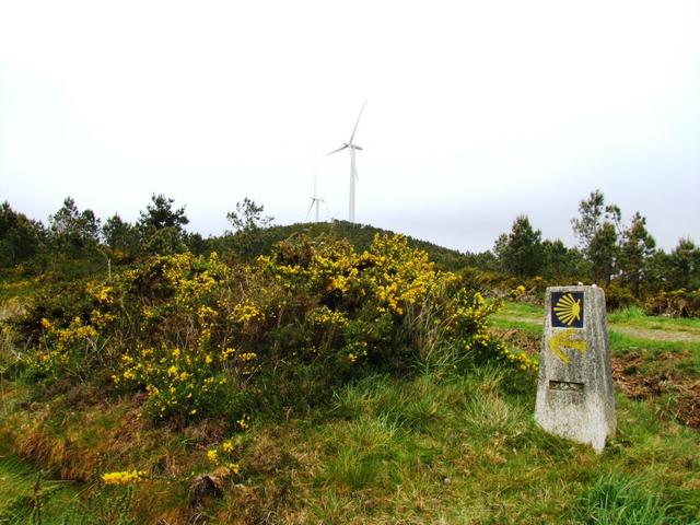 grosse Windräder auf dem Berg O Simo. Das Rauschen der Windräder hört man schon von weitem