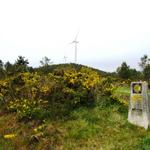 grosse Windräder auf dem Berg O Simo. Das Rauschen der Windräder hört man schon von weitem