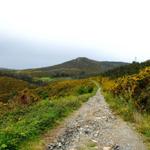 an der Flanke des Berges führt uns der camino weiter nach Logoso