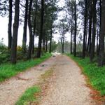 hunderte von Kilometer durch Wälder gelaufen...