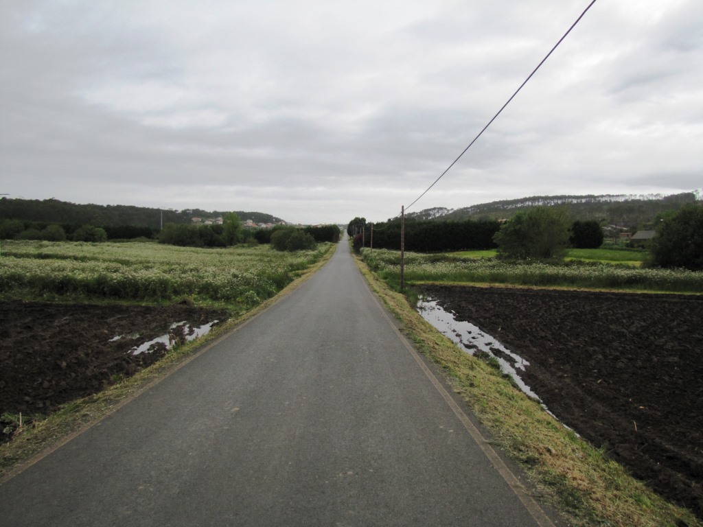 auf dem Weg nach Castromiñan. Wir laufen auf der Strasse. Keine Wegmarkierungen mehr vorhanden