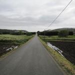 auf dem Weg nach Castromiñan. Wir laufen auf der Strasse. Keine Wegmarkierungen mehr vorhanden