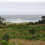 Blick auf die Praia da Arnela