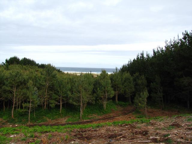 nochmals ein Blick auf die Praia da Arnela. Das Wetter wird immer besser