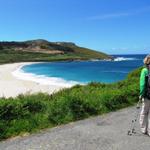 Mäusi schaut sich der Strand von Lourido an